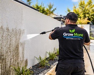 Washing mould and dirt off a rendered wall